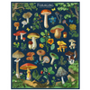 Cavallini 1000 pc. Puzzle - Foraging Mushroom