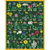 Cavallini 1000 pc. Puzzle - Wildflowers