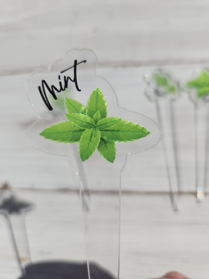 Garden Markers Reusable - Herbs