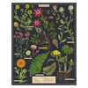 Cavallini 1000 pc. Puzzle - Herbarium