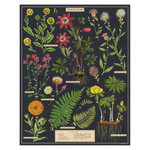 Cavallini 1000 pc. Puzzle - Herbarium