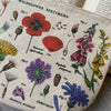 Wildflower Botanical Vintage Pouch